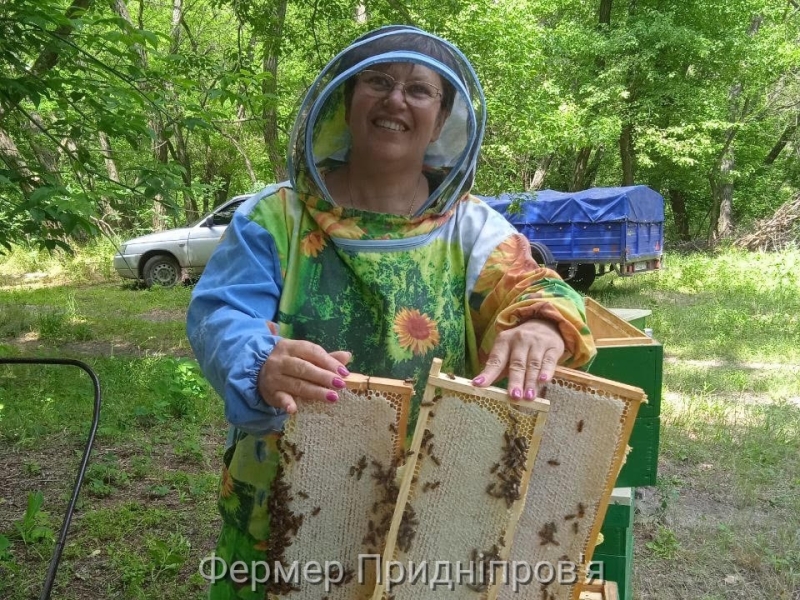 Пасічниця з Донеччини врятувала своїх бджіл, оселивши їх  в одному з сіл Дніпропетровщини