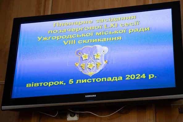 Ужгородська міська рада підтримала План перемоги, представлений Президентом України Володимиром Зеленським