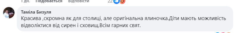 У Києві засвітили головну ялинку країни: реакція українців