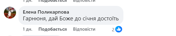 У Києві засвітили головну ялинку країни: реакція українців