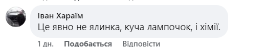 У Києві засвітили головну ялинку країни: реакція українців