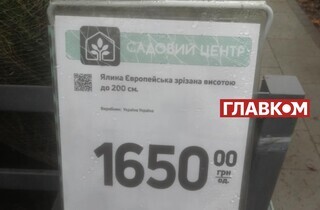 Скільки коштує новорічна ялинка у Києві: огляд цін