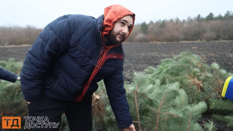 Майже 60 тисяч новорічних дерев підготували лісівники Кіровоградщини до свят. Як вплинула на попит війна