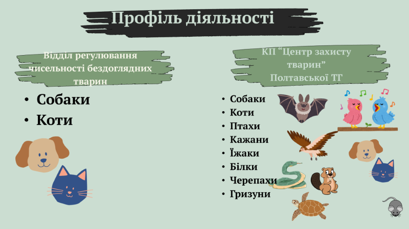 Створення комунального підприємства для захисту тварин у Полтаві: волонтери оцінюють потребу у 9 млн грн, влада — втричі більше