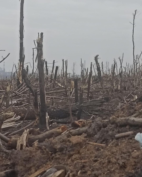 Вибори будуть наступного року