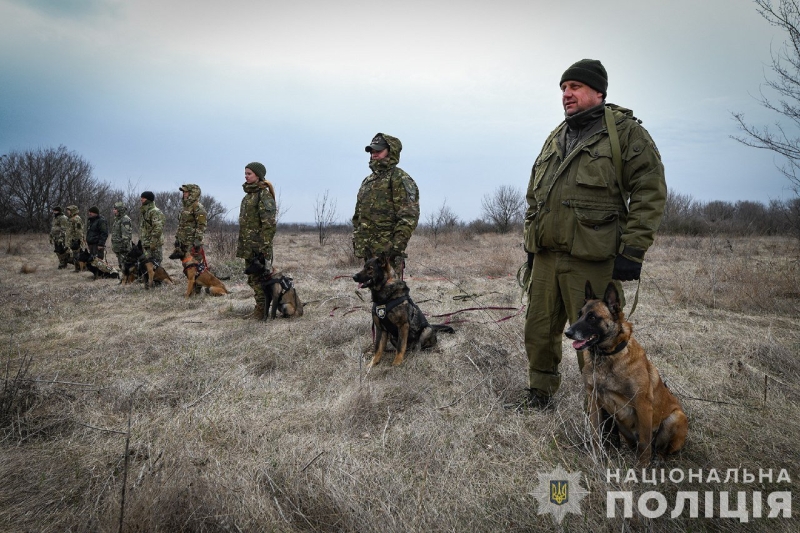 Собаки, які допомагають розкривати злочини та знаходити під завалами людей: запорізькі кінологи розповіли про своїх напарників