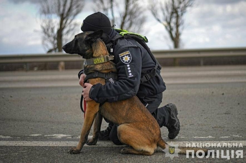 Собаки, які допомагають розкривати злочини та знаходити під завалами людей: запорізькі кінологи розповіли про своїх напарників