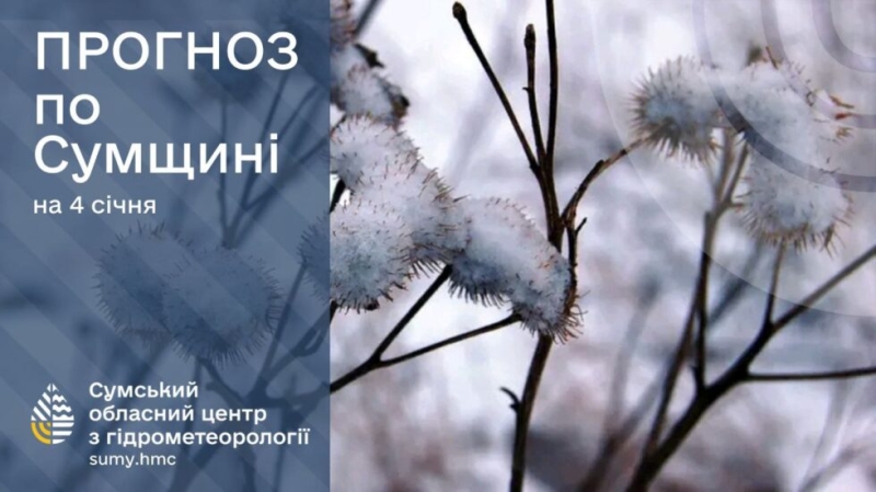 На вихідних на Сумщині прогнозують похолодання, сніг та ожеледицю