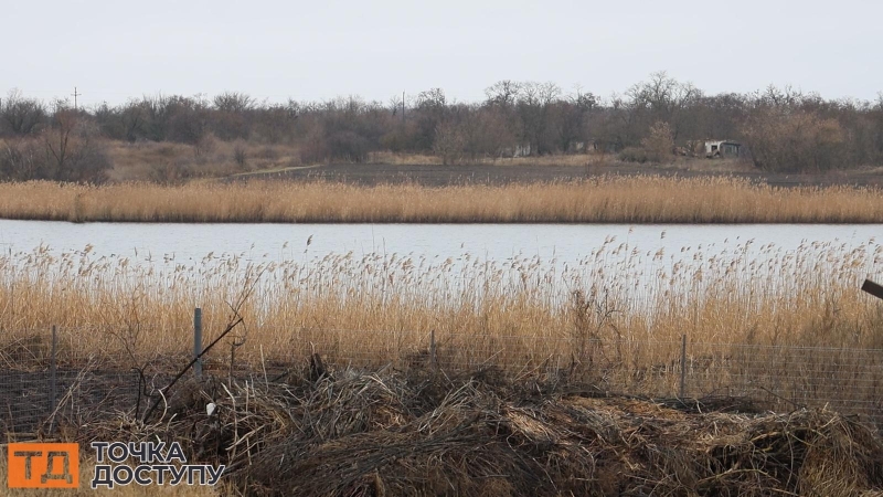 Розводить креветок, раків та осетрів: дружина військового відкрила акваферму на Кіровоградщині